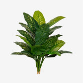 https://conecta-hub-comercial-gomes.s3.sa-east-1.amazonaws.com/public/products-images/7890880784885_big.jpg