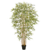 https://conecta-hub-comercial-gomes.s3.sa-east-1.amazonaws.com/public/products-images/7893979170798_big.jpg