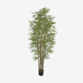 https://conecta-hub-comercial-gomes.s3.sa-east-1.amazonaws.com/public/products-images/7893979275028_big.png