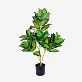https://conecta-hub-comercial-gomes.s3.sa-east-1.amazonaws.com/public/products-images/7895973930583_big.jpg
