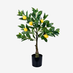 https://conecta-hub-comercial-gomes.s3.sa-east-1.amazonaws.com/public/products-images/7895973931078_big.jpg
