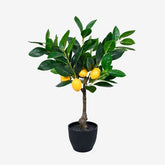 https://conecta-hub-comercial-gomes.s3.sa-east-1.amazonaws.com/public/products-images/7895974086258_big.jpg