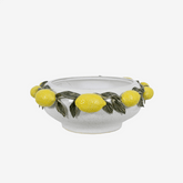 https://conecta-hub-comercial-gomes.s3.sa-east-1.amazonaws.com/public/products-images/7895974205581_big.png