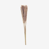 https://conecta-hub-comercial-gomes.s3.sa-east-1.amazonaws.com/public/products-images/7900020049405_big.jpg