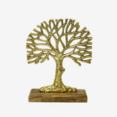 https://conecta-hub-comercial-gomes.s3.sa-east-1.amazonaws.com/public/products-images/7900020089180_big.png