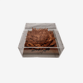 https://conecta-hub-comercial-gomes.s3.sa-east-1.amazonaws.com/public/products-images/7901061100537_big.png