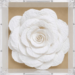 https://conecta-hub-comercial-gomes.s3.sa-east-1.amazonaws.com/public/products-images/7901061102210_bigl2.png