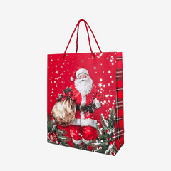 https://conecta-hub-comercial-gomes.s3.sa-east-1.amazonaws.com/public/products-images/7908976125167_big2.png