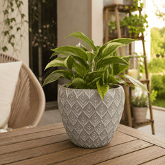 https://conecta-hub-comercial-gomes.s3.sa-east-1.amazonaws.com/public/products-images/9001100154236_big1.png