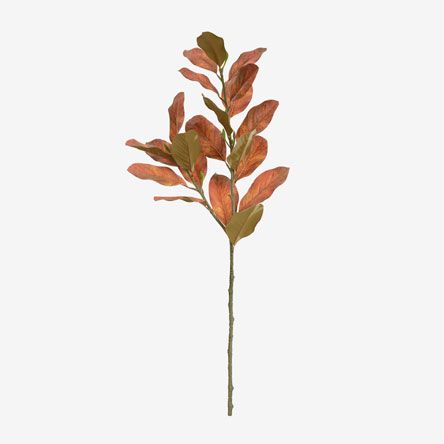 https://conecta-hub-comercial-gomes.s3.sa-east-1.amazonaws.com/public/products-images/7890880689340_big.jpg