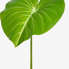 https://conecta-hub-comercial-gomes.s3.sa-east-1.amazonaws.com/public/products-images/7890880792897_big1.jpg