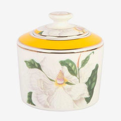 https://conecta-hub-comercial-gomes.s3.sa-east-1.amazonaws.com/public/products-images/7893220322235_big.jpg