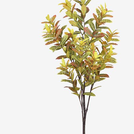 https://conecta-hub-comercial-gomes.s3.sa-east-1.amazonaws.com/public/products-images/7895973843258_big1.jpg