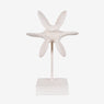 https://conecta-hub-comercial-gomes.s3.sa-east-1.amazonaws.com/public/products-images/7895974087637_big.png