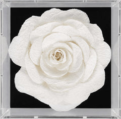 https://conecta-hub-comercial-gomes.s3.sa-east-1.amazonaws.com/public/products-images/7901061102203_bigl2.png