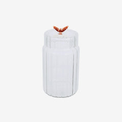 https://conecta-hub-comercial-gomes.s3.sa-east-1.amazonaws.com/public/products-images/7908976105992_big.png