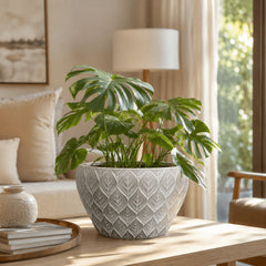 https://conecta-hub-comercial-gomes.s3.sa-east-1.amazonaws.com/public/products-images/9001100154212_big1.png