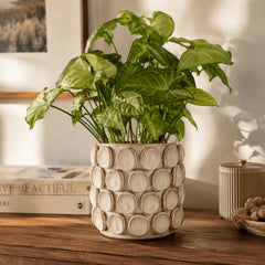 https://conecta-hub-comercial-gomes.s3.sa-east-1.amazonaws.com/public/products-images/9001100422236_big1.png