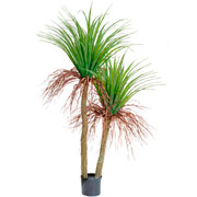 Arvore Yucca toque real com pote verde 1,5 metros 