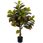 Arvore croton toque real com pote verde e vermelho 1,2 metros 