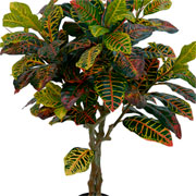 Arvore croton toque real com pote verde e vermelho 1,2 metros 