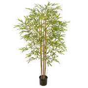 Arvore bamboo toque real verde 1,5 metros 
