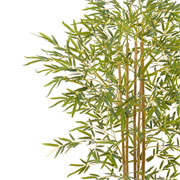 Arvore bamboo toque real verde 1,5 metros 