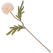 Flor de Crisântemo branca 8x37 cm 