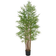 Arvore bamboo japones toque real 1,9 metros 
