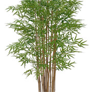 Arvore bamboo japones toque real 1,9 metros 