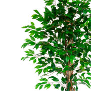 Arvore ficus lyrata toque real verde 1,5 metros 