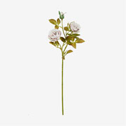 Flor Cabbage toque real off white 80 cm 
