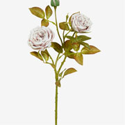 Flor Cabbage toque real off white 80 cm 