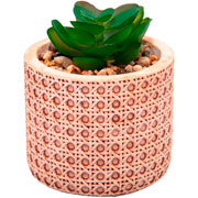 Cachepot de Cerâmica Treliça com Suculenta Bege 07x10 cm 