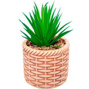 Cachepot de Cerâmica Rattan com Suculenta Bege 10x17 cm 
