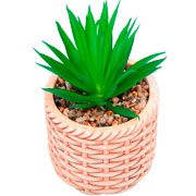 Cachepot de Cerâmica Rattan com Suculenta Bege 10x17 cm 