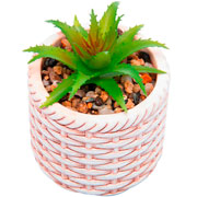 Cachepot de Cerâmica Rattan com Suculenta Bege 07x09 cm 
