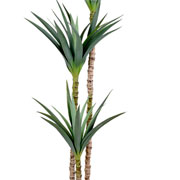 Árvore Sisal artificial verde 1,75 metros. 