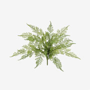 Buquê samambaia verde 45x48 cm 