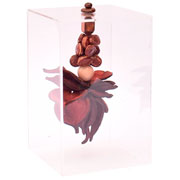 Cubo de Acrílico com Sementes Melt Roxo 13x20 cm 