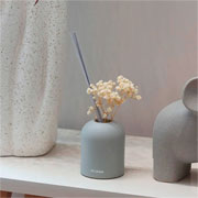 Óleo difusor de Aromas Acqua Chá verde 120 ml 