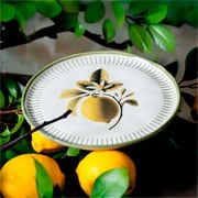 Prato de cerâmica de sobremesa Bio Lemon 21,5x02 cm 